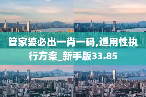 管家婆必出一肖一码,适用性执行方案_新手版33.85