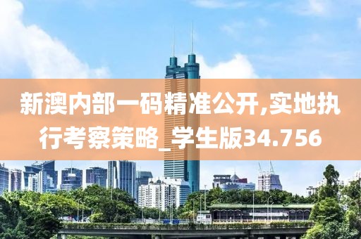 新澳内部一码精准公开,实地执行考察策略_学生版34.756