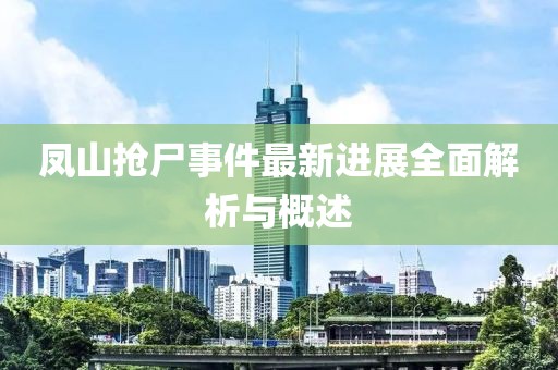 凤山抢尸事件最新进展全面解析与概述