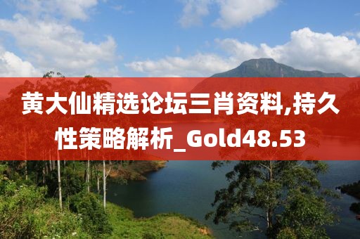 黄大仙精选论坛三肖资料,持久性策略解析_Gold48.53