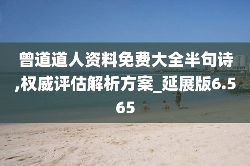 曾道道人资料免费大全半句诗,权威评估解析方案_延展版6.565