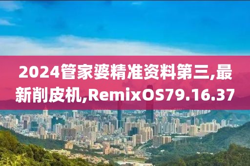 2024管家婆精准资料第三,最新削皮机,RemixOS79.16.37