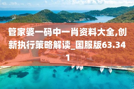 管家婆一码中一肖资料大全,创新执行策略解读_国服版63.341