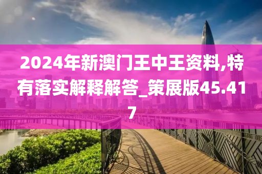 2024年新澳门王中王资料,特有落实解释解答_策展版45.417