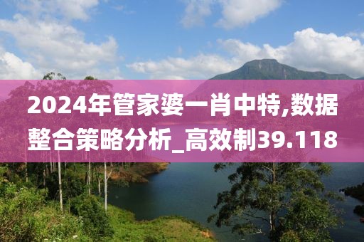 2024年管家婆一肖中特,数据整合策略分析_高效制39.118