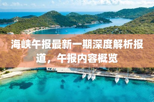 海峡午报最新一期深度解析报道，午报内容概览