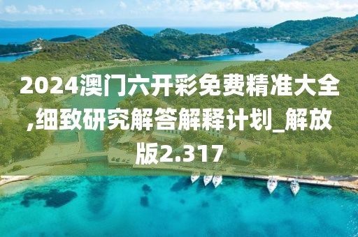 2024澳门六开彩免费精准大全,细致研究解答解释计划_解放版2.317