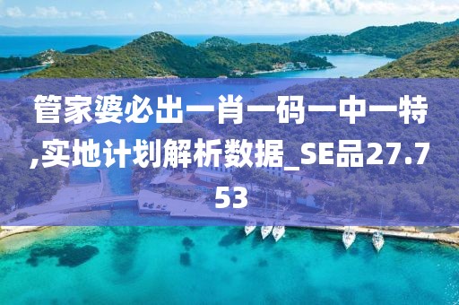 管家婆必出一肖一码一中一特,实地计划解析数据_SE品27.753