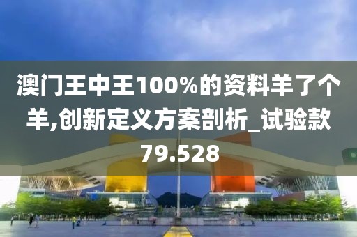 澳门王中王100%的资料羊了个羊,创新定义方案剖析_试验款79.528