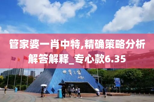管家婆一肖中特,精确策略分析解答解释_专心款6.35