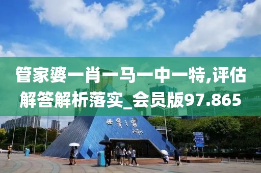 管家婆一肖一马一中一特,评估解答解析落实_会员版97.865