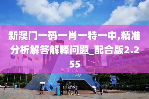 新澳门一码一肖一特一中,精准分析解答解释问题_配合版2.255