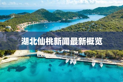 湖北仙桃新闻最新概览