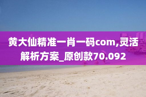 黄大仙精准一肖一码com,灵活解析方案_原创款70.092