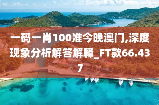 一码一肖100准今晚澳门,深度现象分析解答解释_FT款66.437