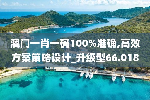 澳门一肖一码100%准确,高效方案策略设计_升级型66.018