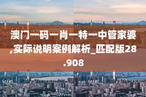 澳门一码一肖一特一中管家婆,实际说明案例解析_匹配版28.908