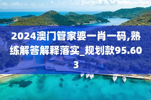 2024澳门管家婆一肖一码,熟练解答解释落实_规划款95.603
