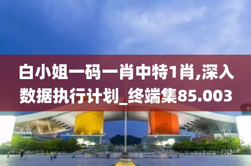 白小姐一码一肖中特1肖,深入数据执行计划_终端集85.003