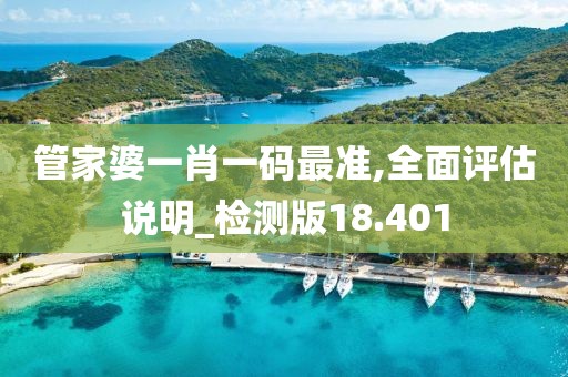 管家婆一肖一码最准,全面评估说明_检测版18.401