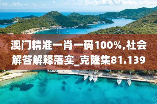 澳门精准一肖一码100%,社会解答解释落实_克隆集81.139