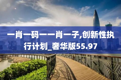 一肖一码一一肖一子,创新性执行计划_奢华版55.97