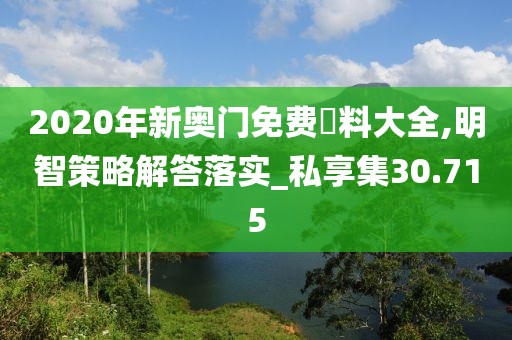 2020年新奥门免费資料大全,明智策略解答落实_私享集30.715