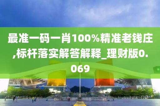 最准一码一肖100%精准老钱庄,标杆落实解答解释_理财版0.069