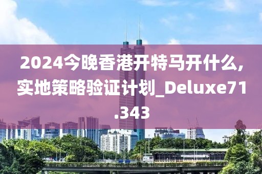 2024今晚香港开特马开什么,实地策略验证计划_Deluxe71.343