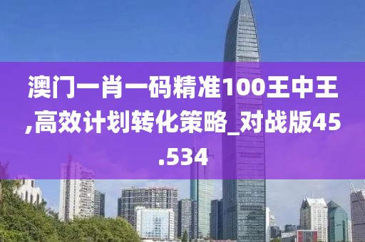 澳门一肖一码精准100王中王,高效计划转化策略_对战版45.534