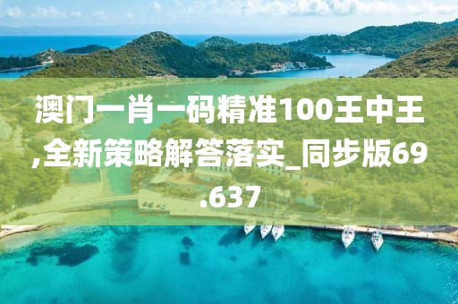 澳门一肖一码精准100王中王,全新策略解答落实_同步版69.637
