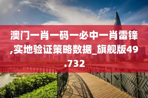 澳门一肖一码一必中一肖雷锋,实地验证策略数据_旗舰版49.732