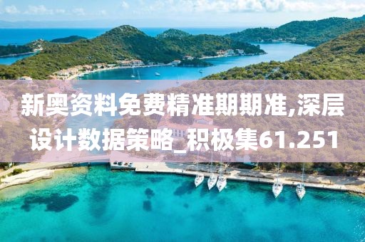 新奥资料免费精准期期准,深层设计数据策略_积极集61.251