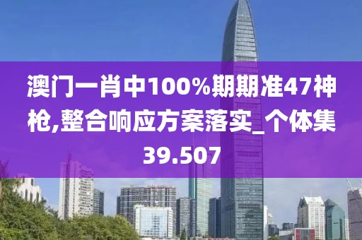 澳门一肖中100%期期准47神枪,整合响应方案落实_个体集39.507
