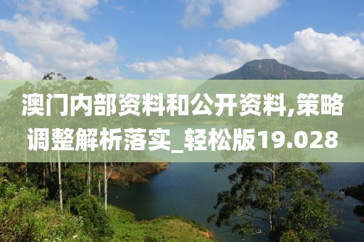 澳门内部资料和公开资料,策略调整解析落实_轻松版19.028