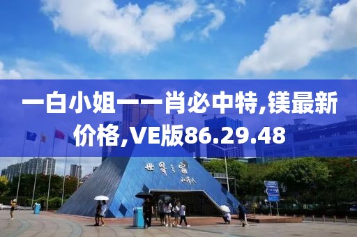一白小姐一一肖必中特,镁最新价格,VE版86.29.48