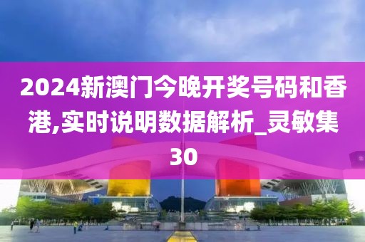 2024新澳门今晚开奖号码和香港,实时说明数据解析_灵敏集30