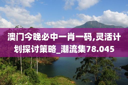澳门今晚必中一肖一码,灵活计划探讨策略_潮流集78.045