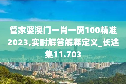 管家婆澳门一肖一码100精准2023,实时解答解释定义_长途集11.703
