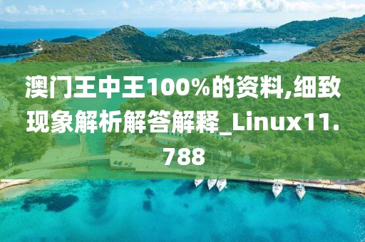 澳门王中王100%的资料,细致现象解析解答解释_Linux11.788