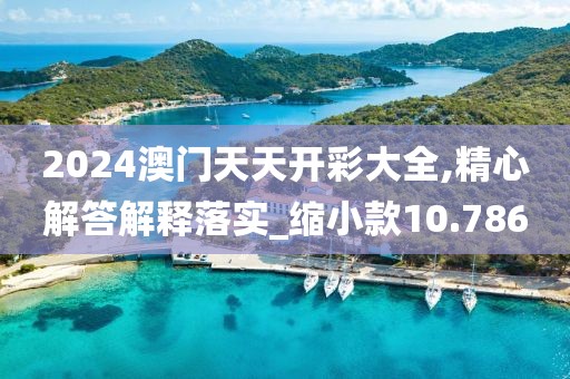 2024澳门天天开彩大全,精心解答解释落实_缩小款10.786
