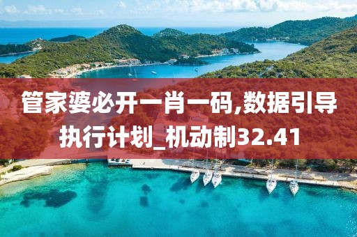 管家婆必开一肖一码,数据引导执行计划_机动制32.41