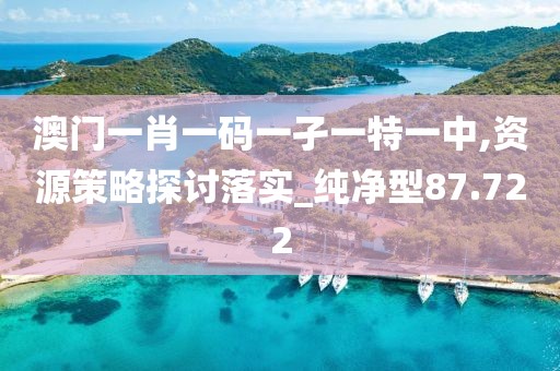澳门一肖一码一孑一特一中,资源策略探讨落实_纯净型87.722
