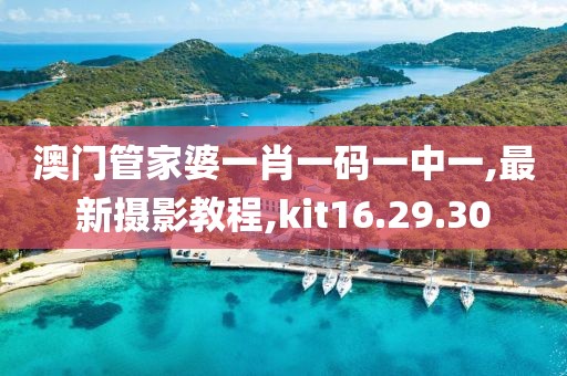 澳门管家婆一肖一码一中一,最新摄影教程,kit16.29.30