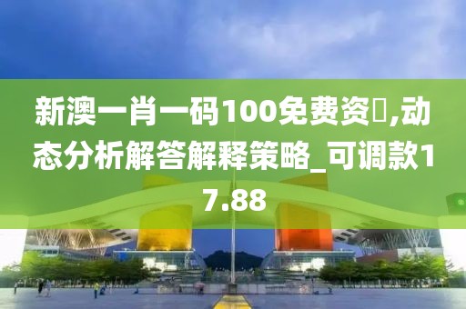 新澳一肖一码100免费资枓,动态分析解答解释策略_可调款17.88