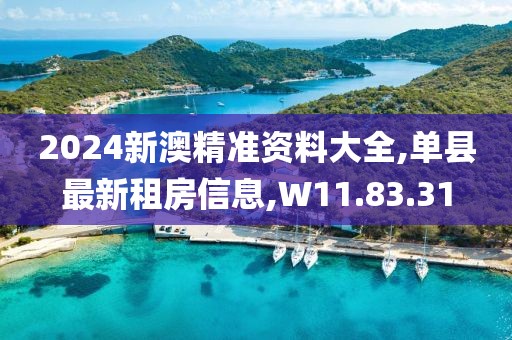 2024新澳精准资料大全