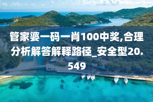管家婆一码一肖100中奖,合理分析解答解释路径_安全型20.549
