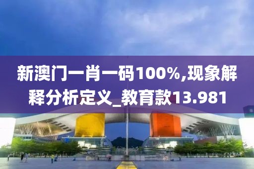 新澳门一肖一码100%,现象解释分析定义_教育款13.981