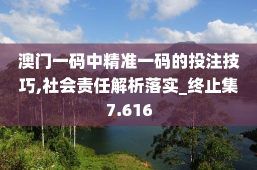 澳门一码中精准一码的投注技巧,社会责任解析落实_终止集7.616