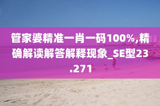 管家婆精准一肖一码100%,精确解读解答解释现象_SE型23.271